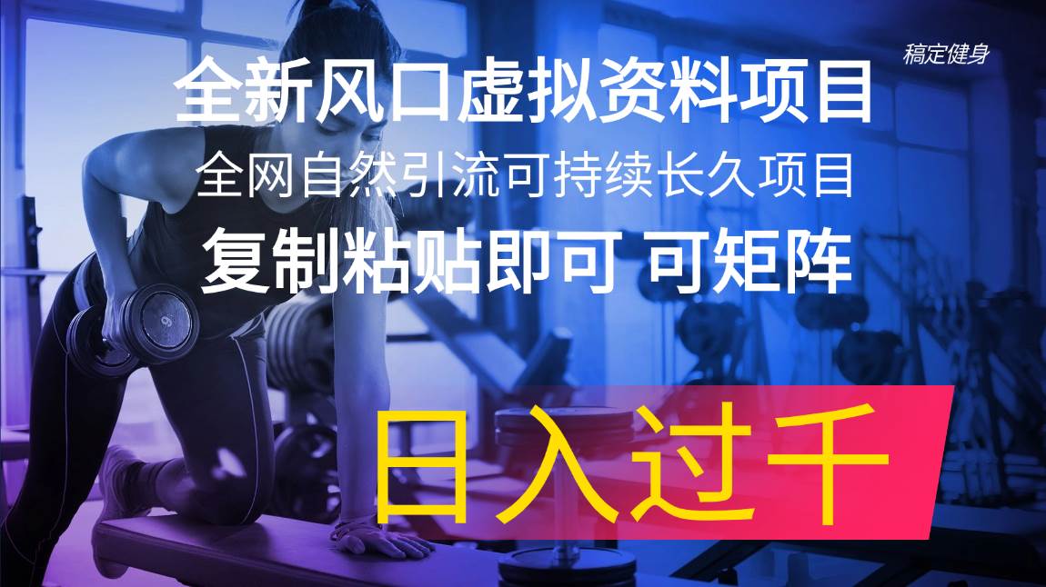 全新风口虚拟资料项目 全网自然引流可持续长久项目 复制粘贴即可可矩阵…-布丁源码-专业的网站源码代码分享平台!