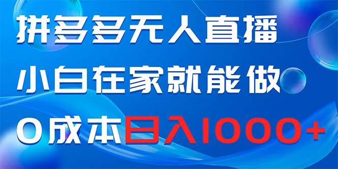 拼多多无人直播，小白在家就能做，0成本日入1000+-布丁源码-专业的网站源码代码分享平台!