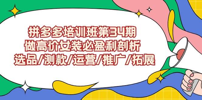 拼多多培训班第34期：做高价女装必盈利剖析  选品/测款/运营/推广/拓展-布丁源码-专业的网站源码代码分享平台!