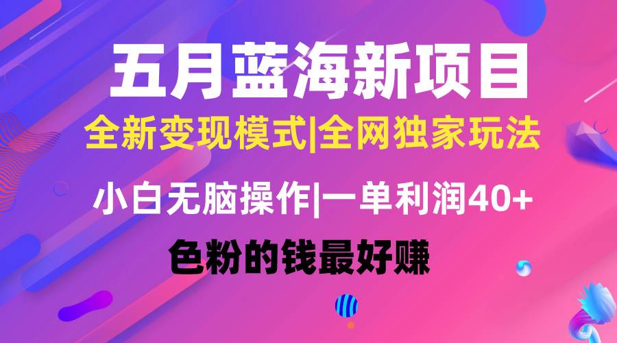 五月蓝海项目全新玩法，小白无脑操作，一天几分钟，矩阵操作，月入4万+-布丁源码-专业的网站源码代码分享平台!