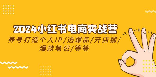 2024小红书电商实战营，养号打造IP/选爆品/开店铺/爆款笔记/等等（24节）-布丁源码-专业的网站源码代码分享平台!