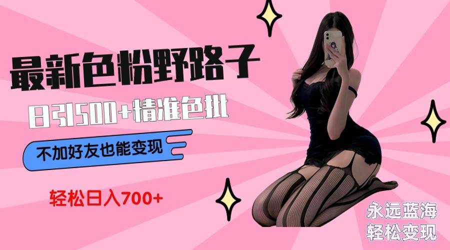 最新色粉变现野路子，日引500+老色批 可不加好友直接变现 小白轻松日入700+-布丁源码-专业的网站源码代码分享平台!