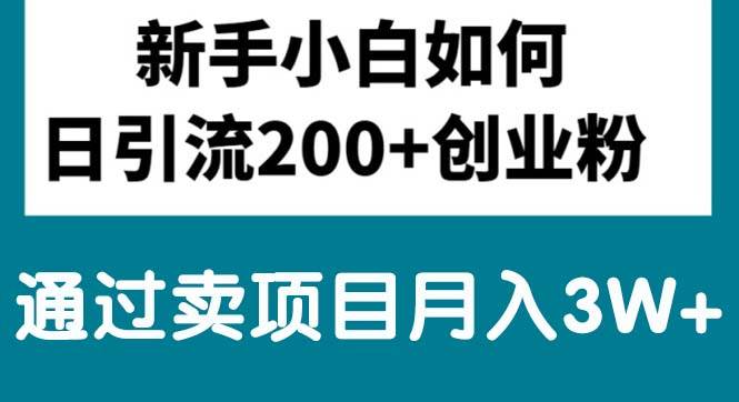 新手小白日引流200+创业粉,通过卖项目月入3W+-布丁源码-专业的网站源码代码分享平台!