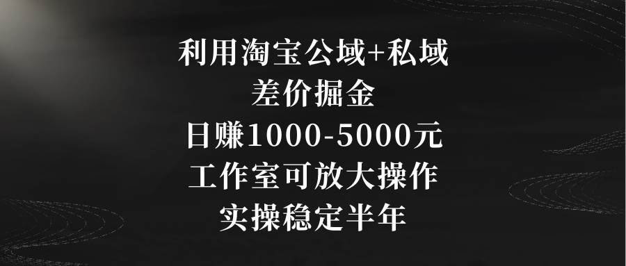 利用淘宝公域+私域差价掘金，日赚1000-5000元，工作室可放大操作，实操…-布丁源码-专业的网站源码代码分享平台!