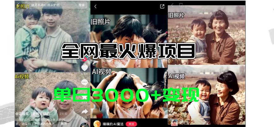 全网爆火的AI让老照片动起来教程，蹭热点日赚3000+，内含免费工具一键…-布丁源码-专业的网站源码代码分享平台!