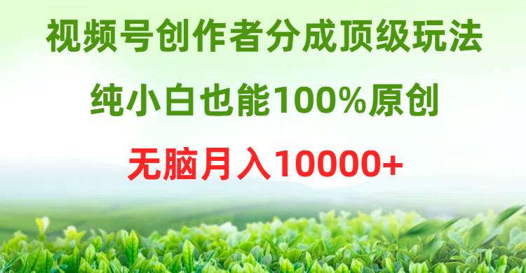 视频号创作者分成顶级玩法，纯小白也能100%原创，无脑月入10000+-布丁源码-专业的网站源码代码分享平台!