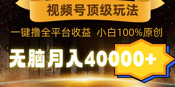 视频号顶级玩法，无脑月入40000+，一键撸全平台收益，纯小白也能100%原创-布丁源码-专业的网站源码代码分享平台!