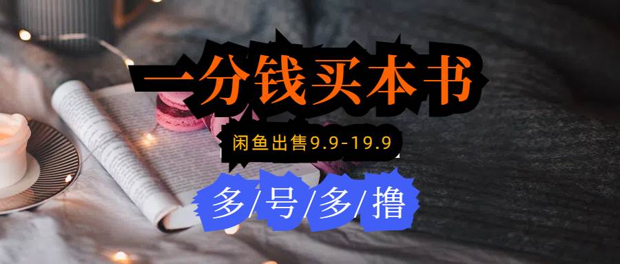 每天花1分钱买一本书，闲鱼出售9.9-19.9不等，多账号多撸 新手小白均可操作-布丁源码-专业的网站源码代码分享平台!