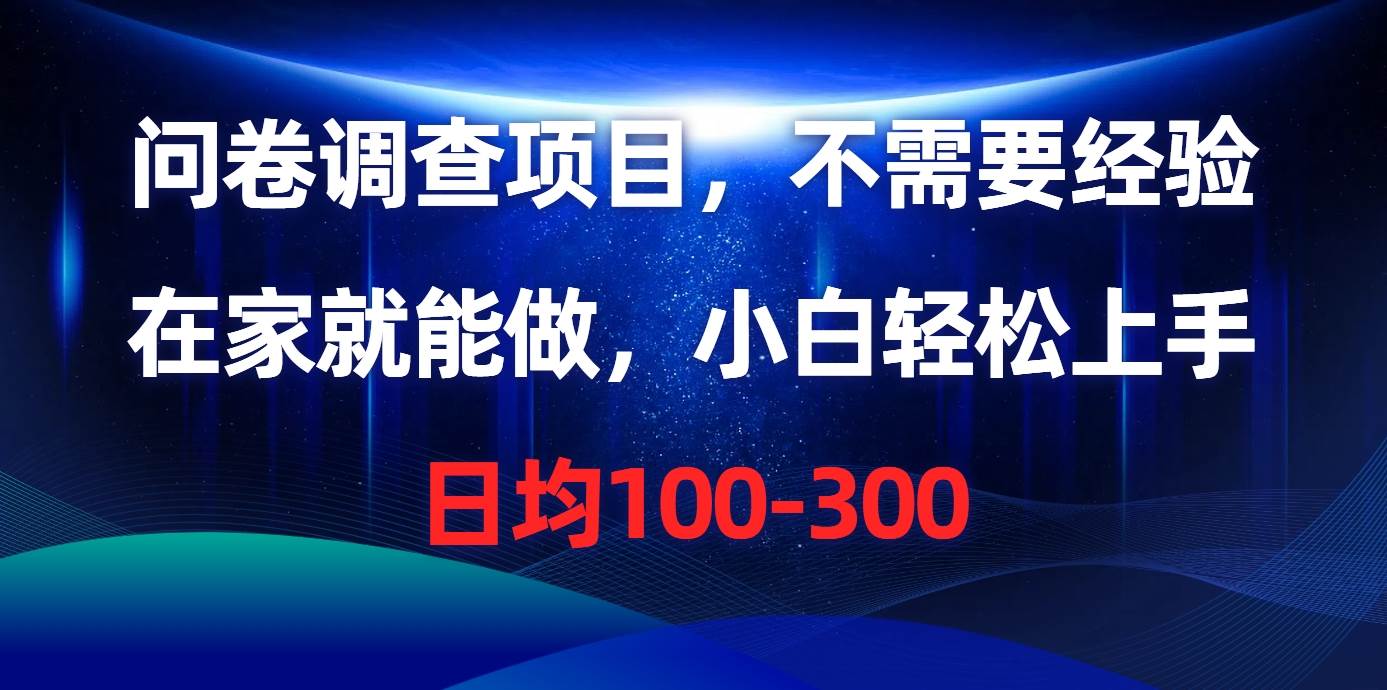 问卷调查项目，不需要经验，在家就能做，小白轻松上手，日均100-300-布丁源码-专业的网站源码代码分享平台!