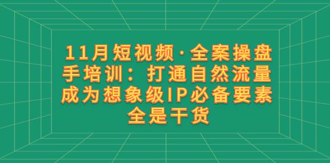11月短视频·全案操盘手培训：打通自然流量 成为想象级IP必备要素 全是干货-布丁源码-专业的网站源码代码分享平台!