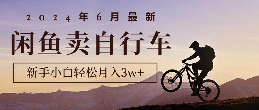 2024年6月最新闲鱼卖自行车，新手小白轻松月入3w+项目-布丁源码-专业的网站源码代码分享平台!