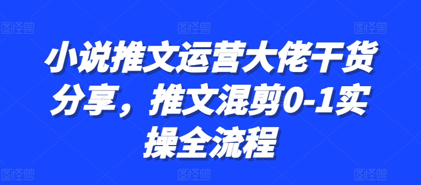 小说推文运营大佬干货分享，推文混剪0-1实操全流程-布丁源码-专业的网站源码代码分享平台!